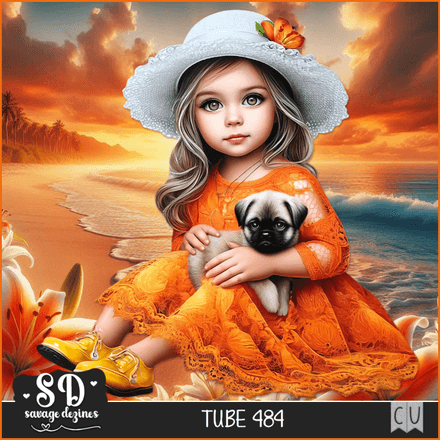 SD - AI CU TUBE 484