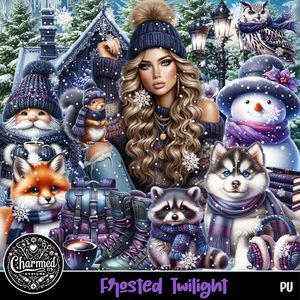 CD- Frosted Twilight