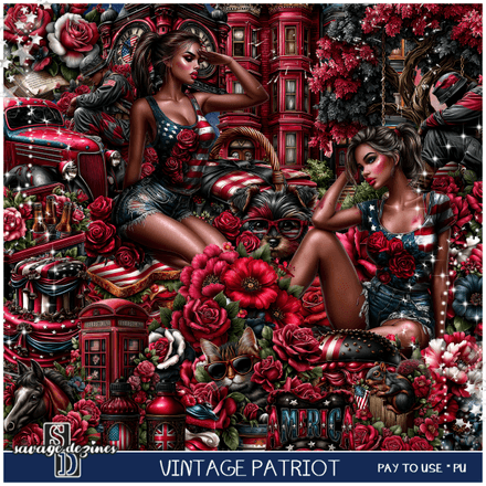 SD - Vintage Patriot Kit