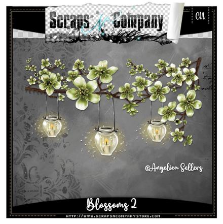 SNCO - Blossoms 2