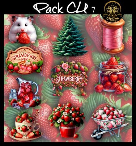 CCAD-Pack CU 7