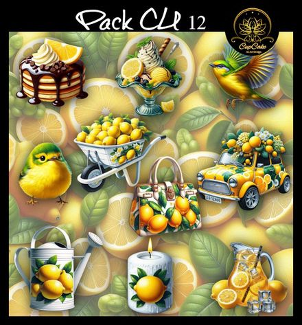 CCAD-Pack CU 12