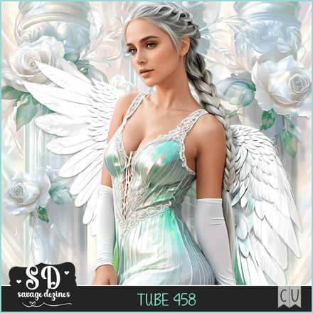 SD - AI CU TUBE 458