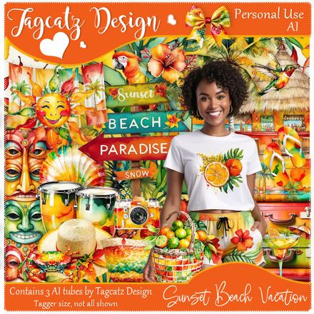 TD - Sunset Beach Vacation