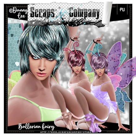 Danny Lee - Ballerina Fairy