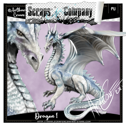 SNCO - Dragon 1