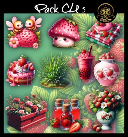 CCAD-Pack CU 5