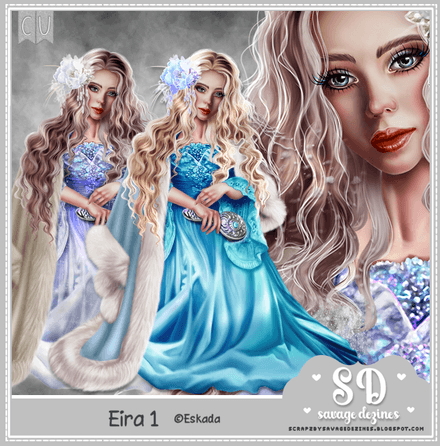 SD - Eira 1