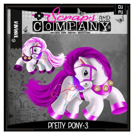 SNCO - Pretty Pony 3