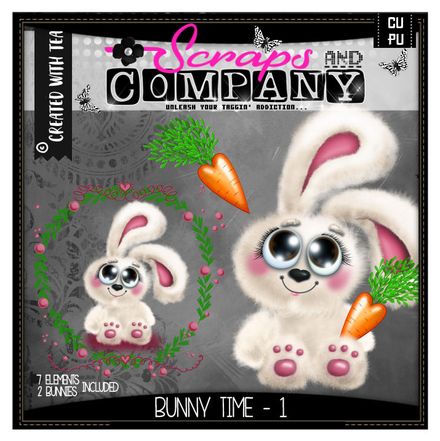 SNCO - Bunny Time 1