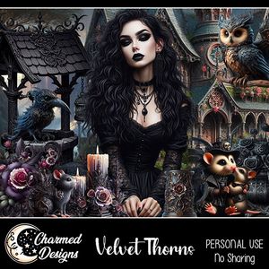 CD- Velvet Thorns