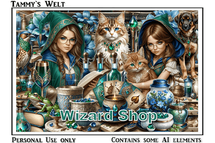 TW-Wizard Shop