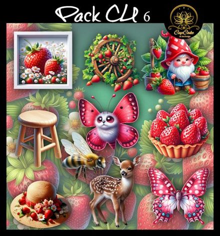 CCAD-Pack CU 6