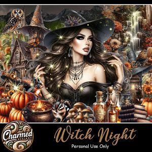 CD- Witch Night