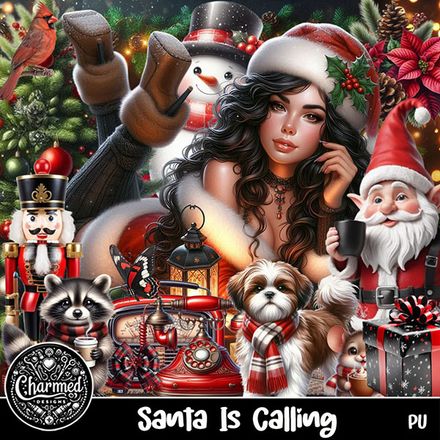 CD- Santa Is Calling