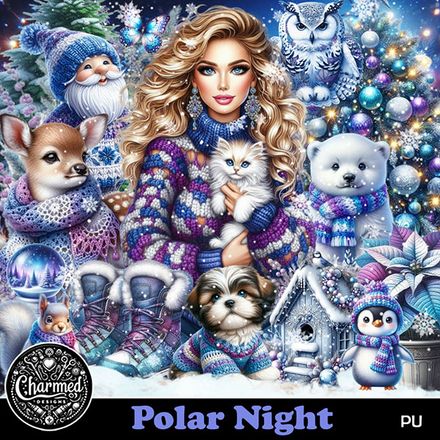 CD- Polar Night