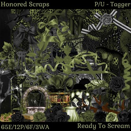 HS Ready To Scream - Tagger