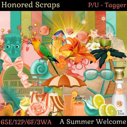 HS A Summer Welcome - Tagger