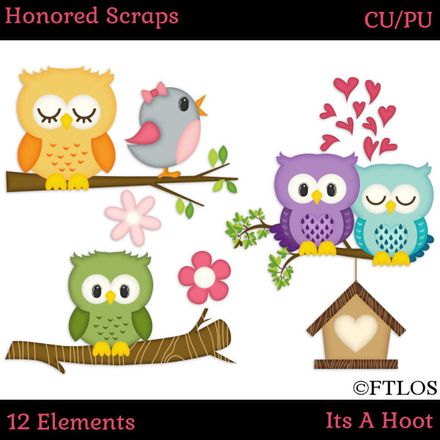 HS Its A Hoot (CU/PU)