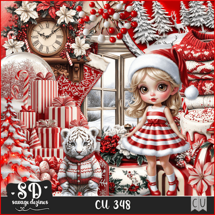 SD - AI CU 348