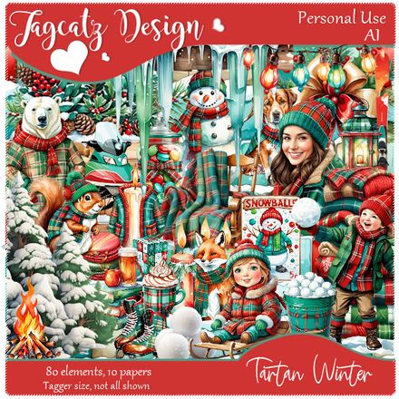TD-Tartan Winter