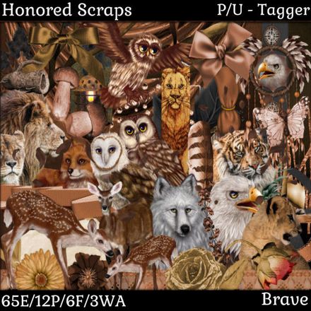 HS Brave - Tagger
