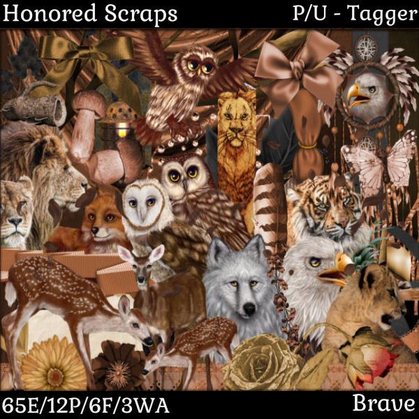 HS Brave - Tagger