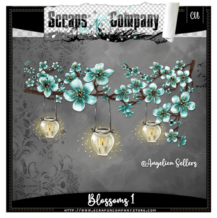 SNCO - Blossoms 1
