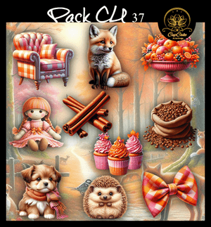 CCAD - Pack CU 37