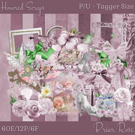 HS Briar Rose - Tagger