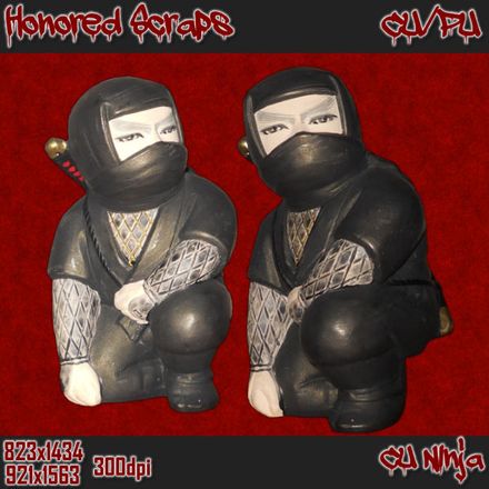 HS Ninjas (CU/PU)