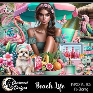 CD- Beach Life