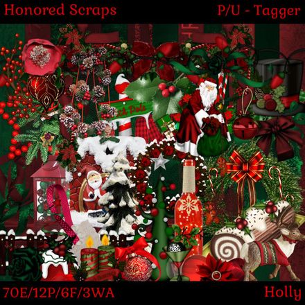 HS Holly - Tagger
