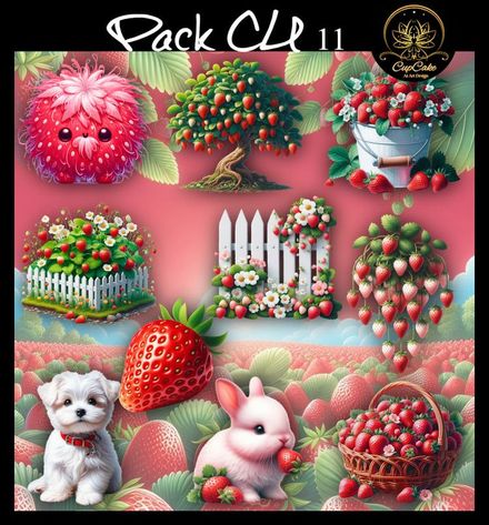 CCAD-Pack CU 11