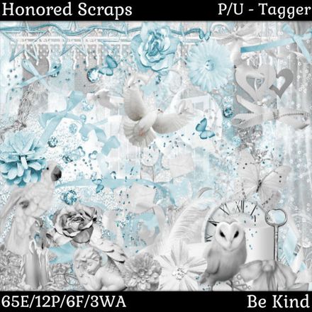 HS Be Kind - Tagger