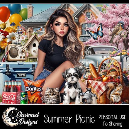 CD- Summer Picnic