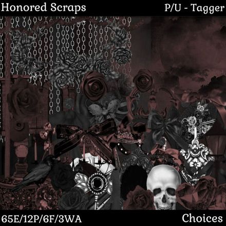 HS Choices - Tagger