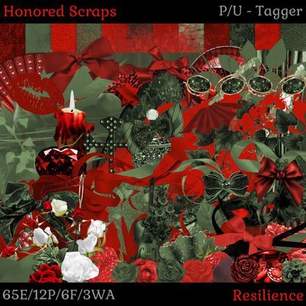 HS Resilience - Tagger