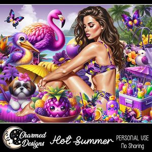 CD- Hot Summer