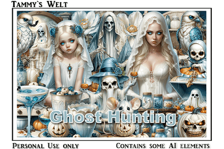 TW-Ghost Hunting