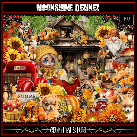 MD-Country Store