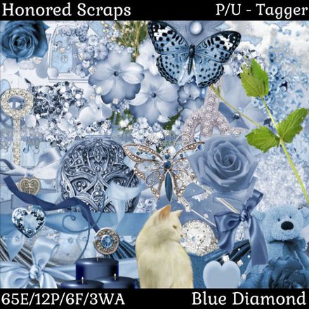 HS Blue Diamond - Tagger