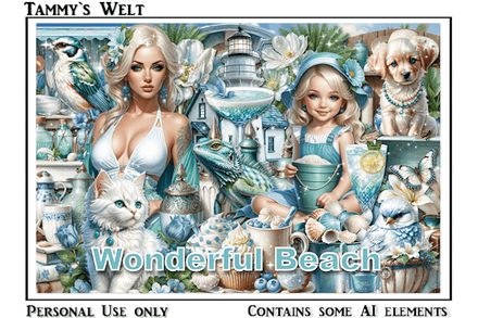 TW-Wonderful Beach
