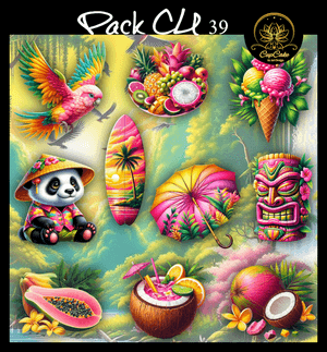 CCAD - Pack CU 39