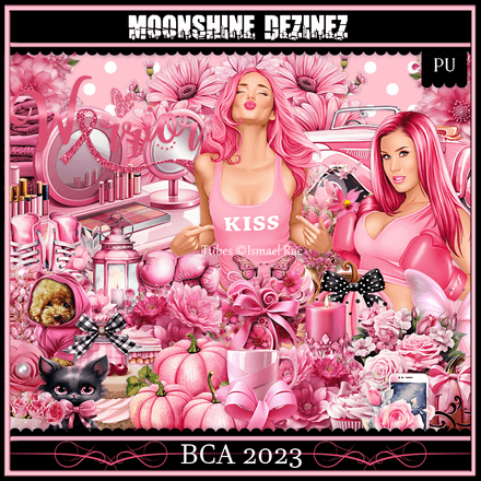 MD-BCA 2023
