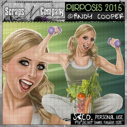 Andy Cooper - Purposes 2015