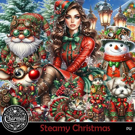 CD- Steamy Christmas
