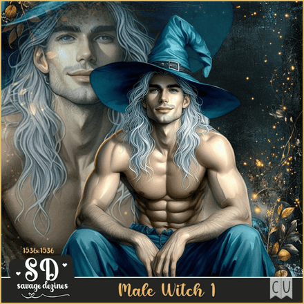 SD - AI CU Male Witch 1