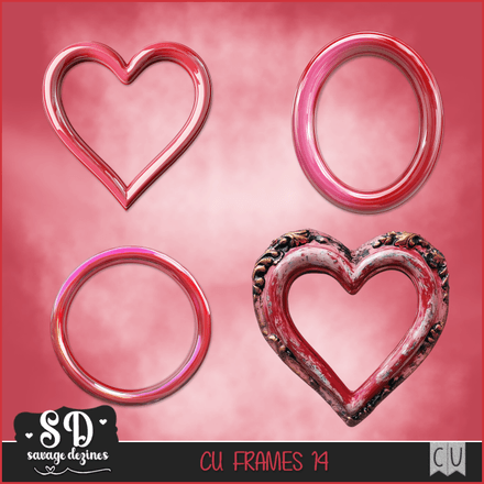 SD - AI CU FRAMES 14
