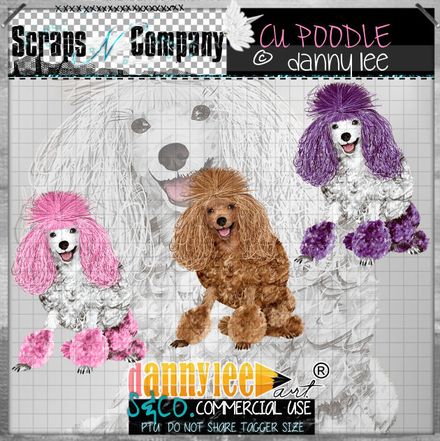 Danny Lee - French Poodle 